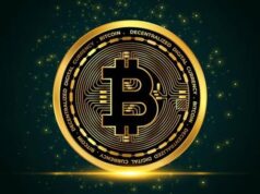 Bitcoin: La madre de las criptomonedas que se hizo fuerte en la Deep Web Bitcoin